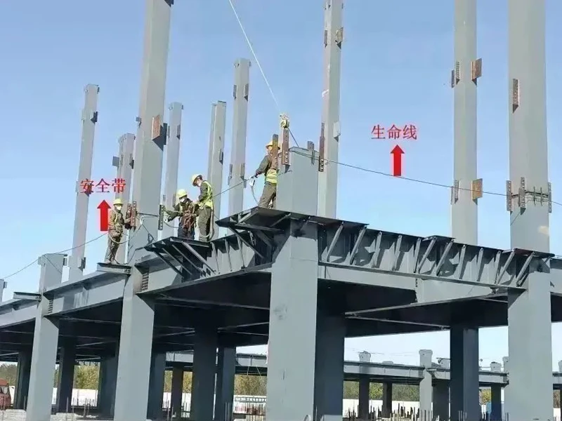 未标题-1.jpg 未标题-1.jpg